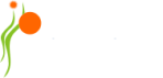 IP Foundation